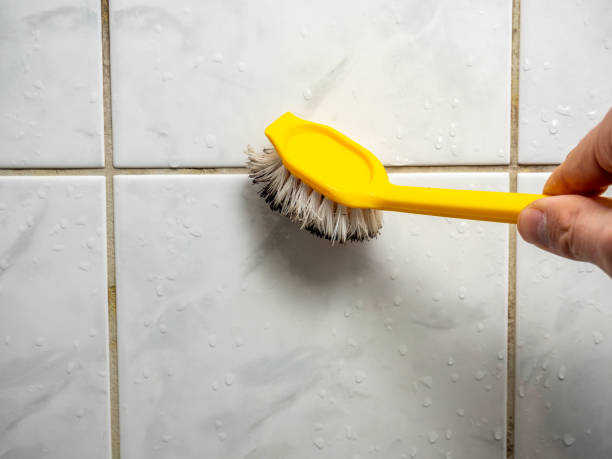 Best Basement Mold Remediation in Holliday, TX