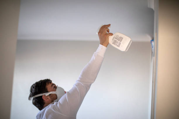 Best Attic Mold Remediation in Holliday, TX