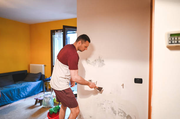 Best Post-Remediation Services in Holliday, TX
